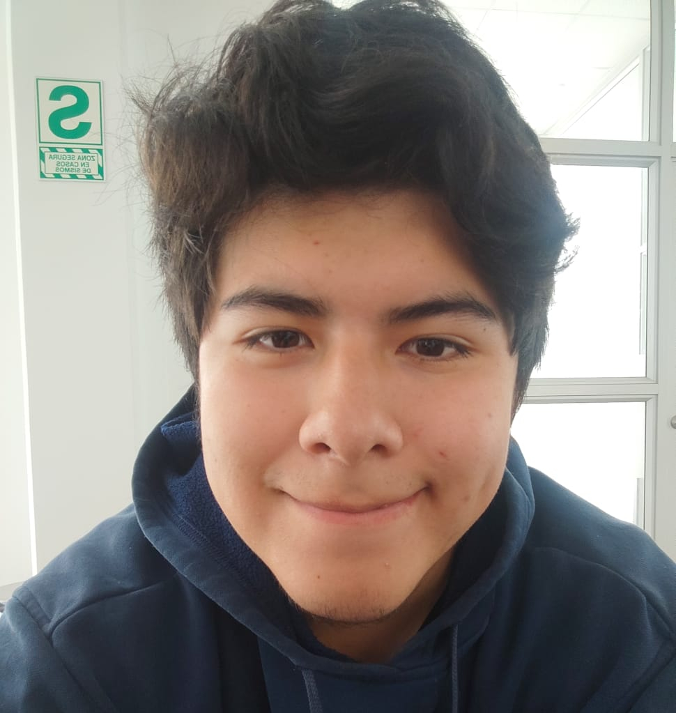 Elmer Andres Collanqui Casapia